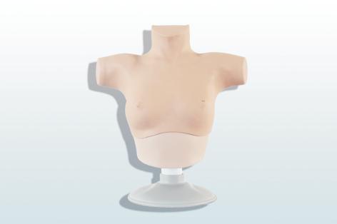 乳腺癌觸診、視診訓(xùn)練模型